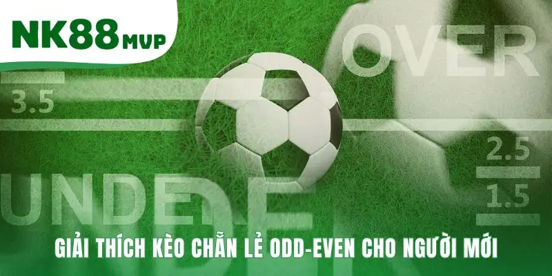 Hiểu rõ luật chơi và ký hiệu cược Odd-Even cơ bản